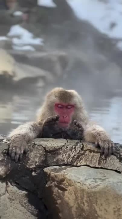 ������ ����, ������!. ����� �����������! �������������� ��