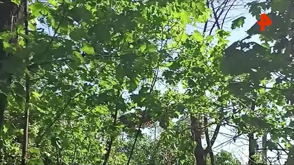 ��� ��������� ������ ����� �-72 ��������� ������ ������ ��� � ��� ���