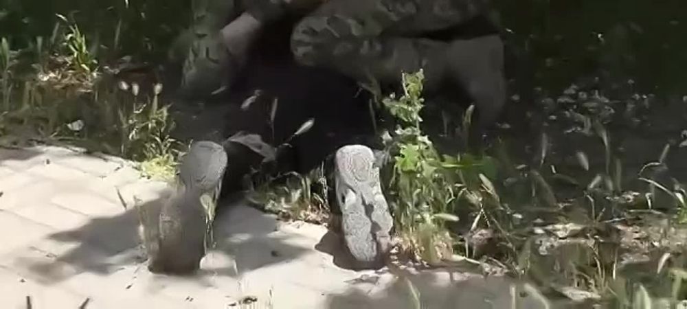 ��������� ��� ����������� ������� ���������� ���� �������, ������� ���������� ��� ����� � ����������� �������