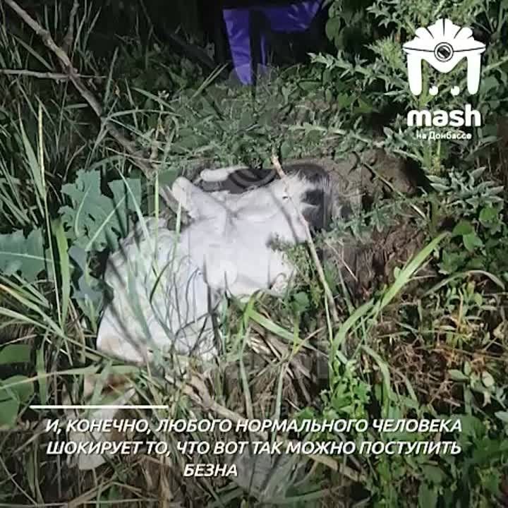 �������� ��������, ������� ������� ������� ����� ������� �� ������, �� �������