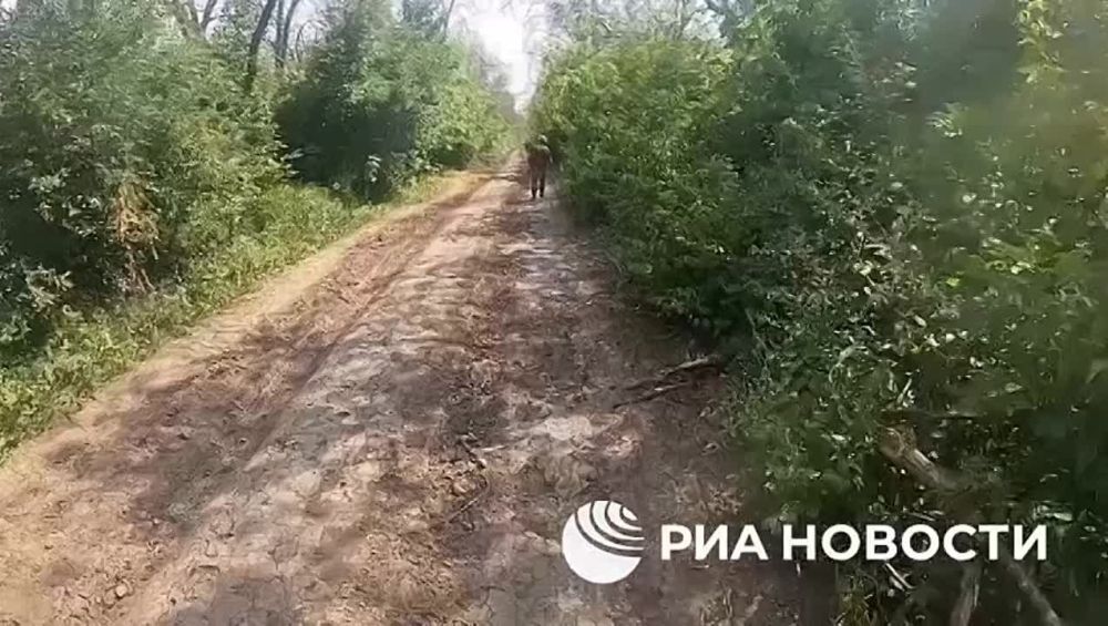 �������� ��� ������ ������� ������ � ���������, ����������� ������� ������