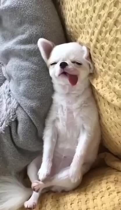 ������� ���� , ������� ������������!