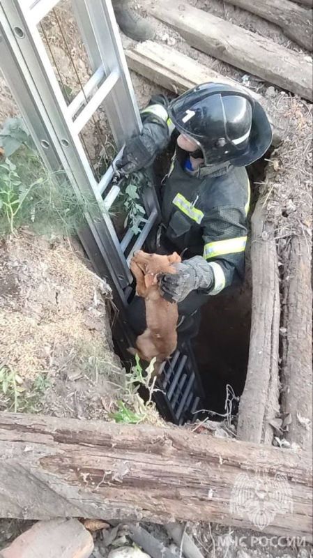 ����� ������ �� 6-��������� ������� � ���������