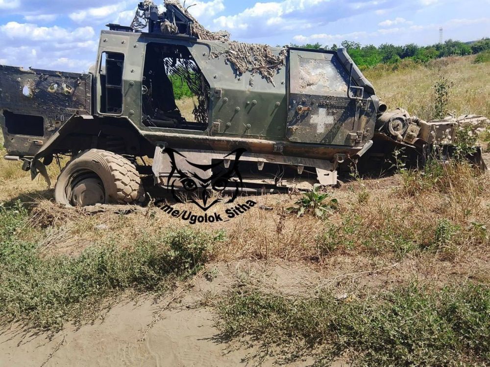 ������������ �������� ��������������� Dingo 2 ��� � ���� ���