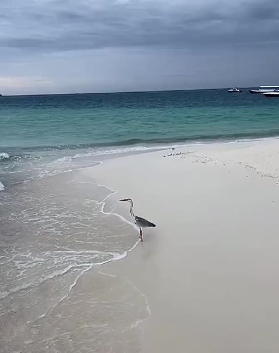 ��������� ����, ������� ������!