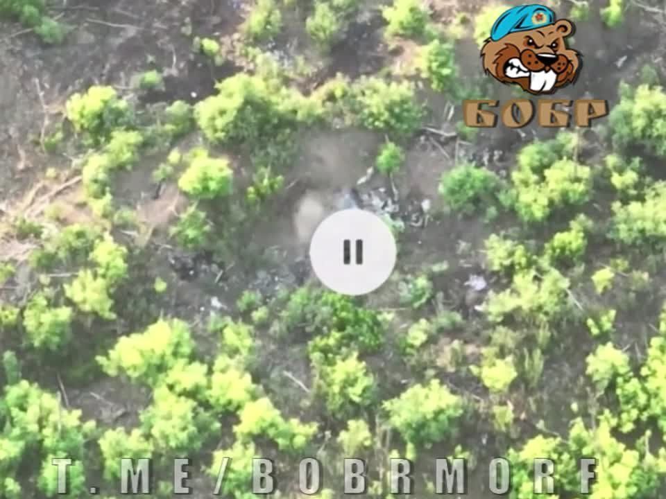 ����������� ���� ��������� � �������� ������� ��� �� �������� �����������