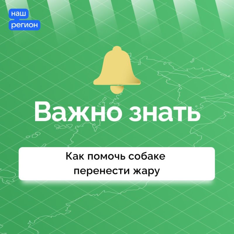 �������� ������ ��� ���������� �����