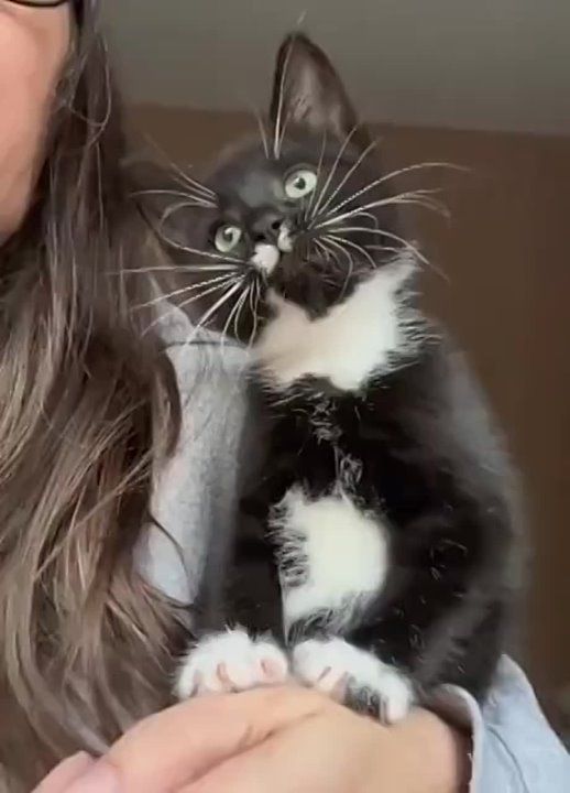 ������� ������ ������ � ����