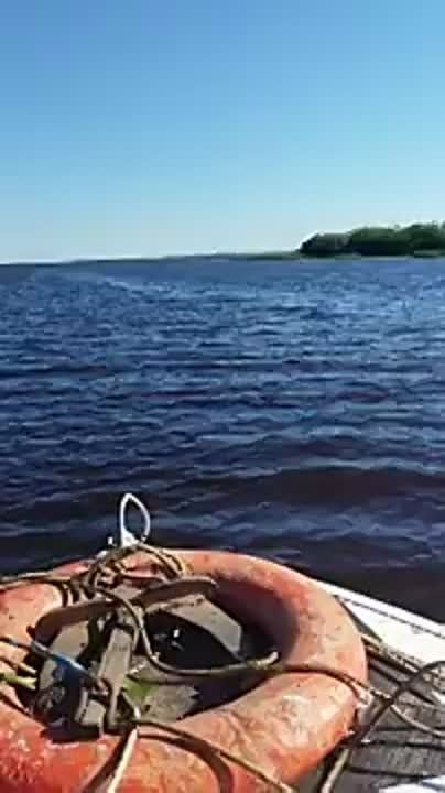 ���, ���, ���� ������... ��, �� �����������!� � ������������� ������ ���������������� �������� ������
