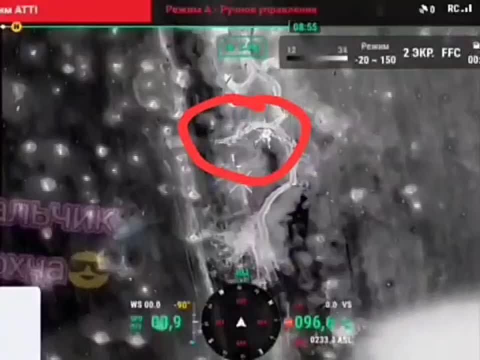 ������� �������: ������������ ������ ������-����������, ����������� ������ ��������� ���� ��� � ���������� ������ ������� ������������ �. ��������, � ����� �������� �������� ����� ���������� "��������" ����� ������