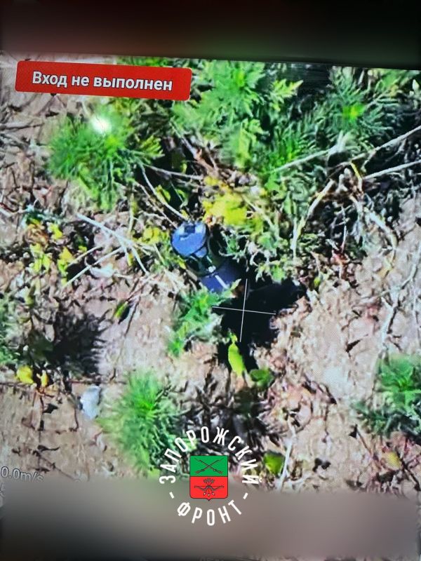 ����� �����: ���� ����� �������� ������������� �������������� ��������� �� ����������� �����������