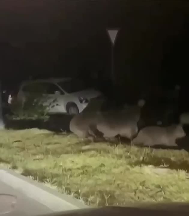 ���� � ����� ������������ ������ ����� �� ������� ������� ������