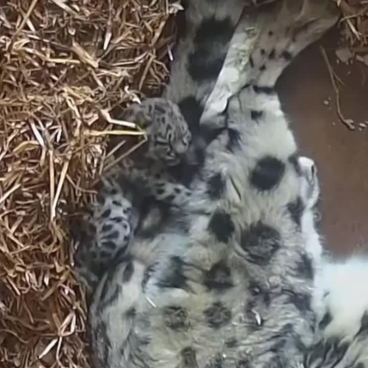 ������: ������� �������� ����� ���� � ������� � ������� ����