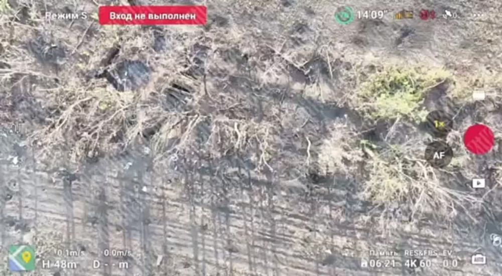 ������ � ����, �������� ������ �������� � ����, ����� �� �� �������, �� ����� � ��������