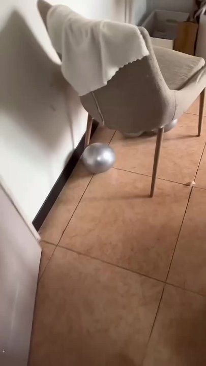 ��������� ����, ������� ������!