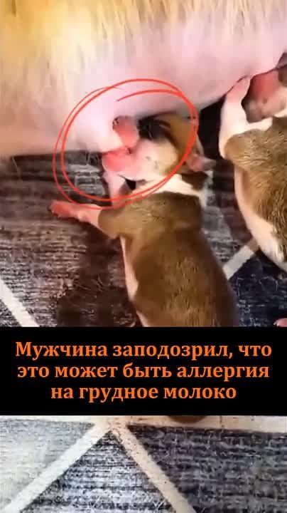 �������� � �������, � ��� �� ������