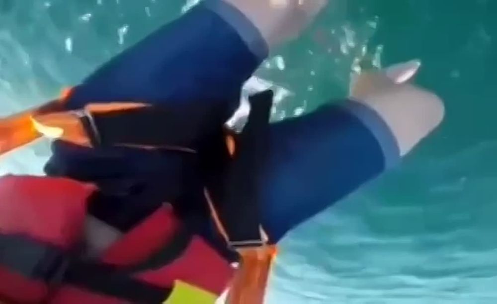 � ���� � �������� �������� ���� �� ��������