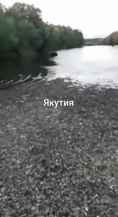 ���������� � ������: ������ ������� ������ � ��������� � �� ������ ���� �����