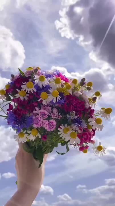 ������ � ���� � �� ����������