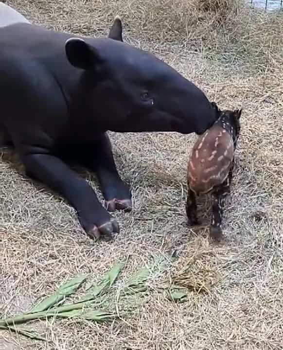 ������ ������������ ���� ����� �������, � ������������ �����