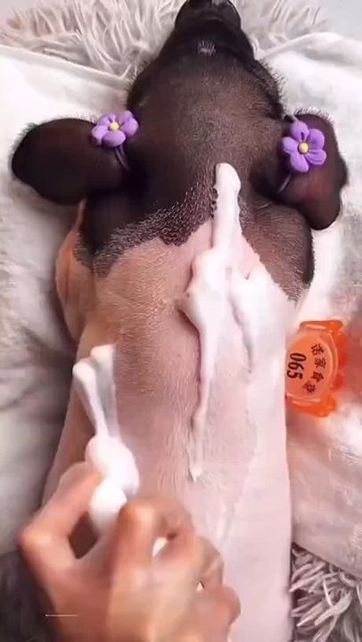 ����!. ��������� ��������!! �������������� ��
