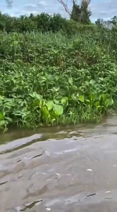 ������ ����� ������� ������� � ����� ����� � ���� ���� � ������
