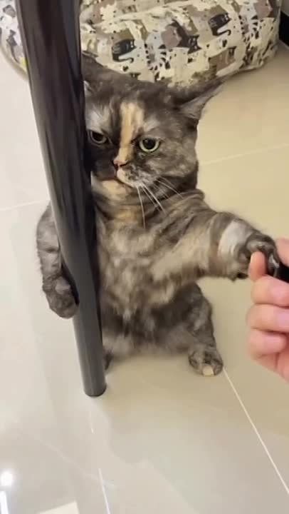 ����� � ���� �����: �������, �� � ������� ������