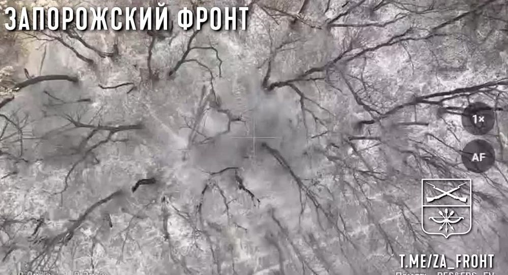 ����� �����: �������� �������� �������� ����� ��������� ����������� ��� ��� ������� ����� ����� �� ����������� �����������