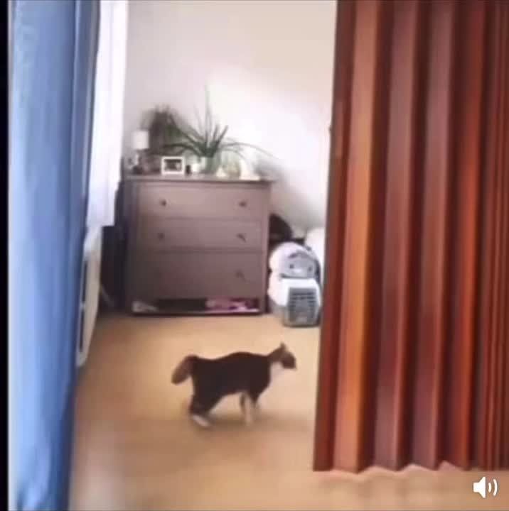 ������ ����!