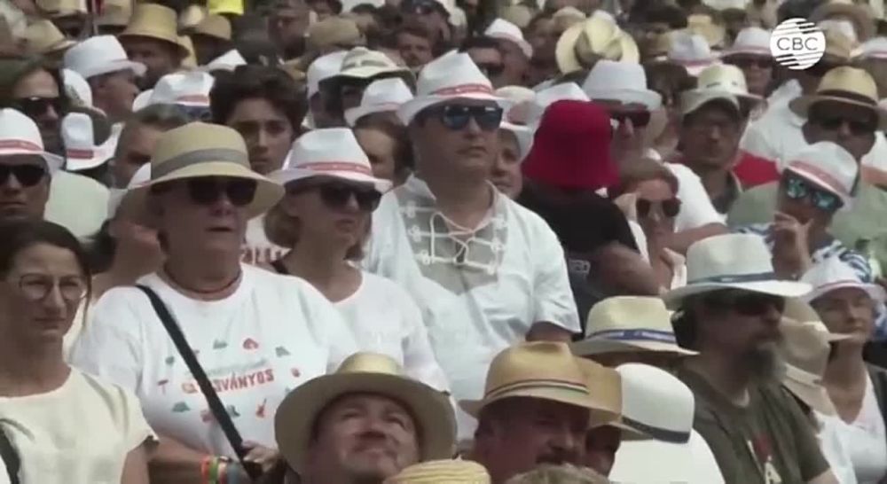 ������� ������� ������ ����� - ����� ���� ��������� � ������� ����