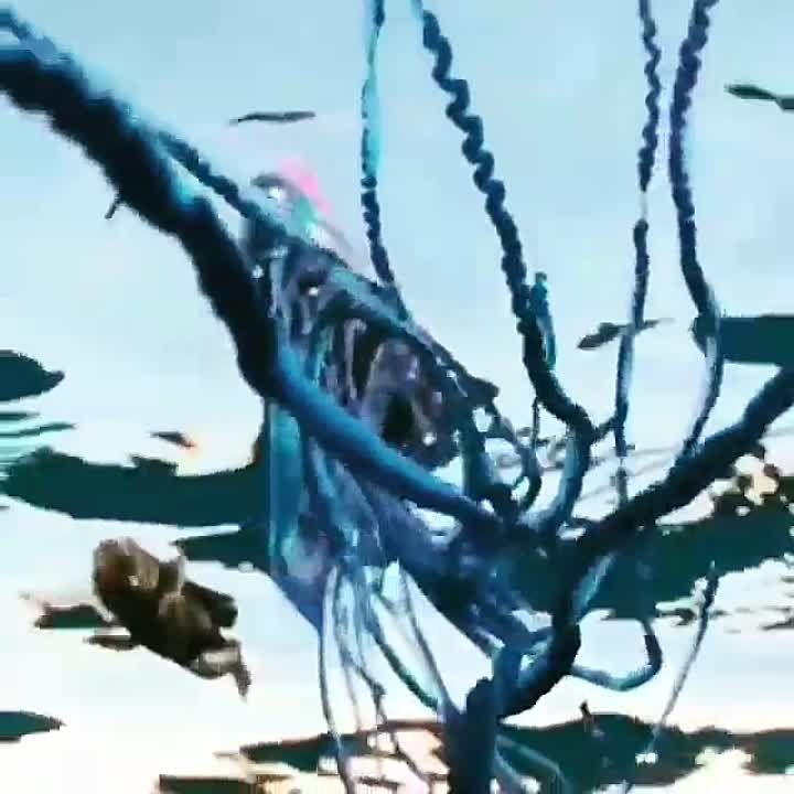 ������������� ��������