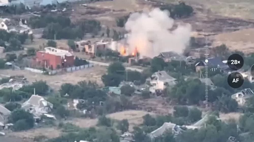 ����� �����: ����������� �����������