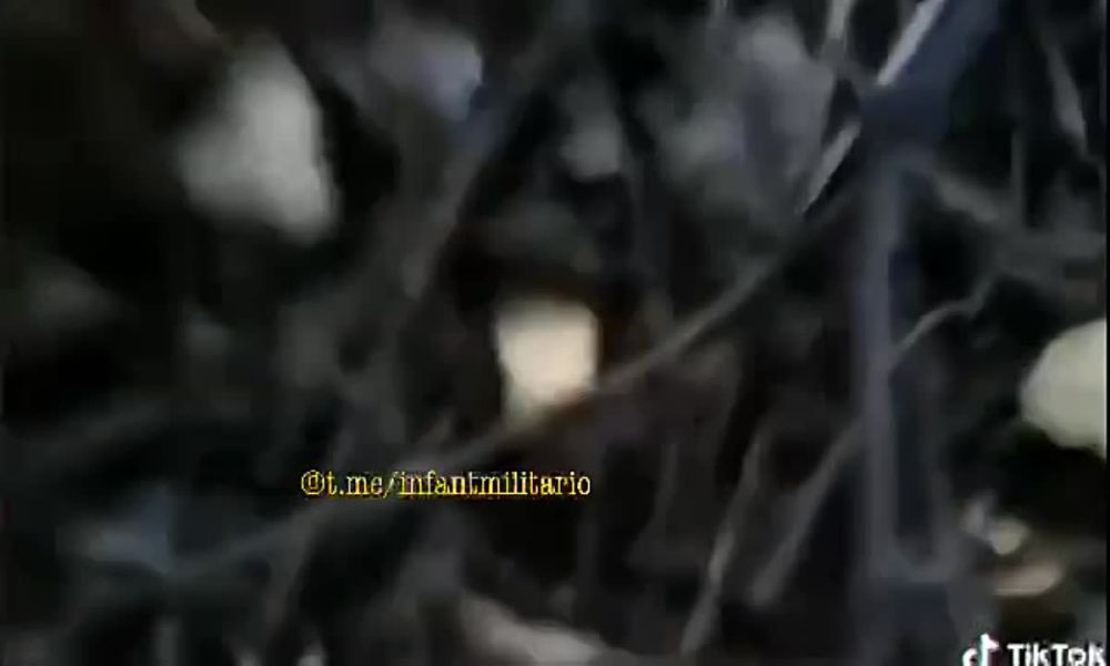 �������� ������-ӻ ��� ����� �� ����� ����� �� ����� ������� ������