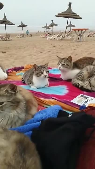 ��� ����������, ��� �� ���������� � ������