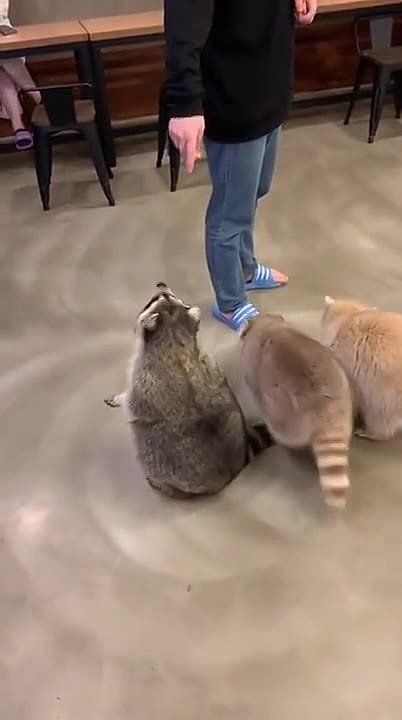 ������ ����, ������! �������� ��� ��� � ��������� ����������!
