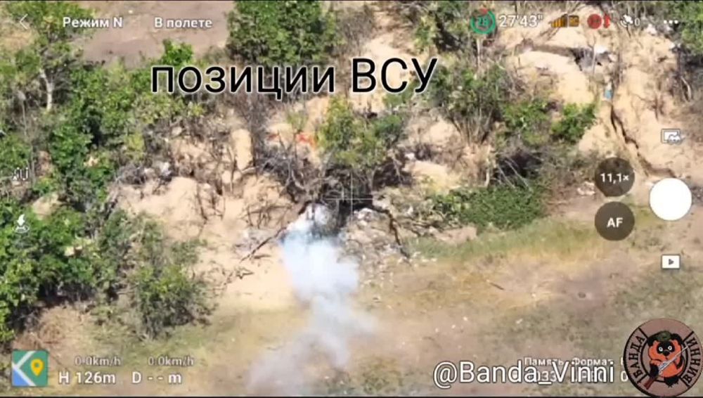 ������� ��������� ������-��������� ���� �� ���������� �������� � ����������� ������� � ����������� ����� ����������������� �������