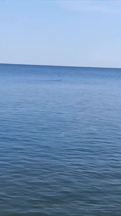� ������ ���� ��������... ��������