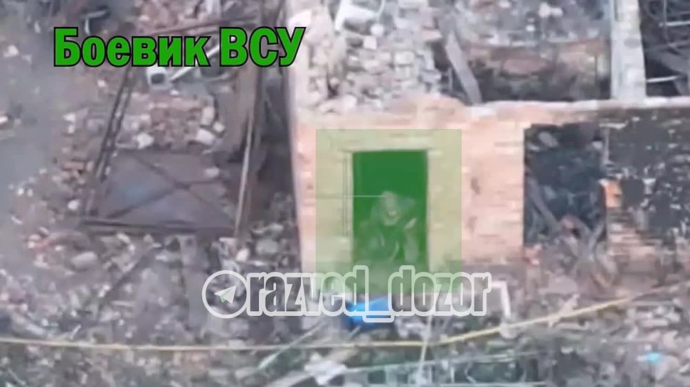 ������ FPV �� �������� � ����� �� ����� ���������