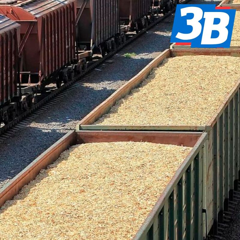 ВСУ перевозят военных и технику в составе грузового поезда с зерном