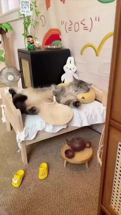 ��������� ����, ������� ������!