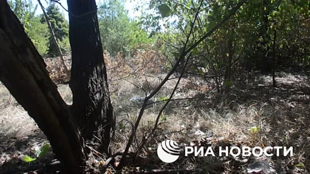 " � ��� ���������� ������� ������� ������, ������� ���������