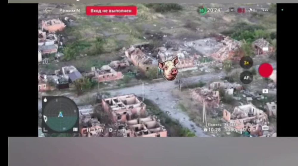 ����� FPV-����� �� ����� ���� ���