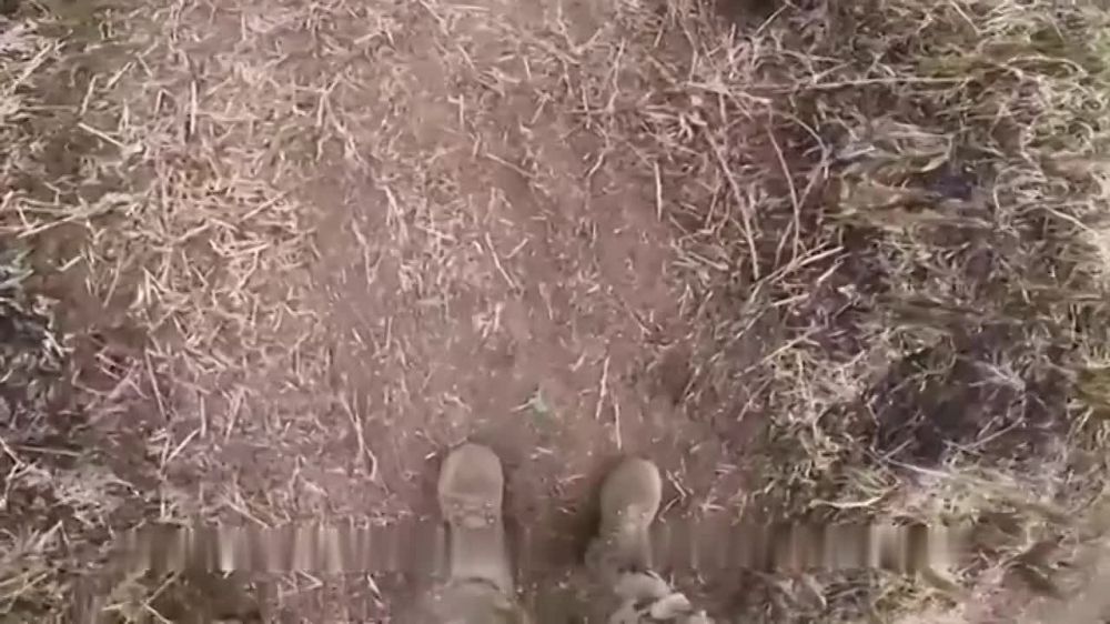 ����������� �����������. ����������� ������� �� ��������������� ����� ���� ������������� � ����������� ������������ ��...