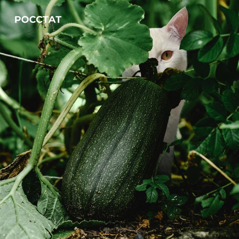 ��� ��� ��� ������? ��������� � ������������ ��� ���� ���������� �������� ���������� �������� ��������� �� ��������