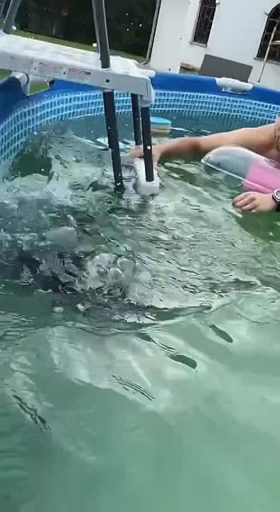 ������ ����, ������! �������� ��� ��� � ��������� ����������!