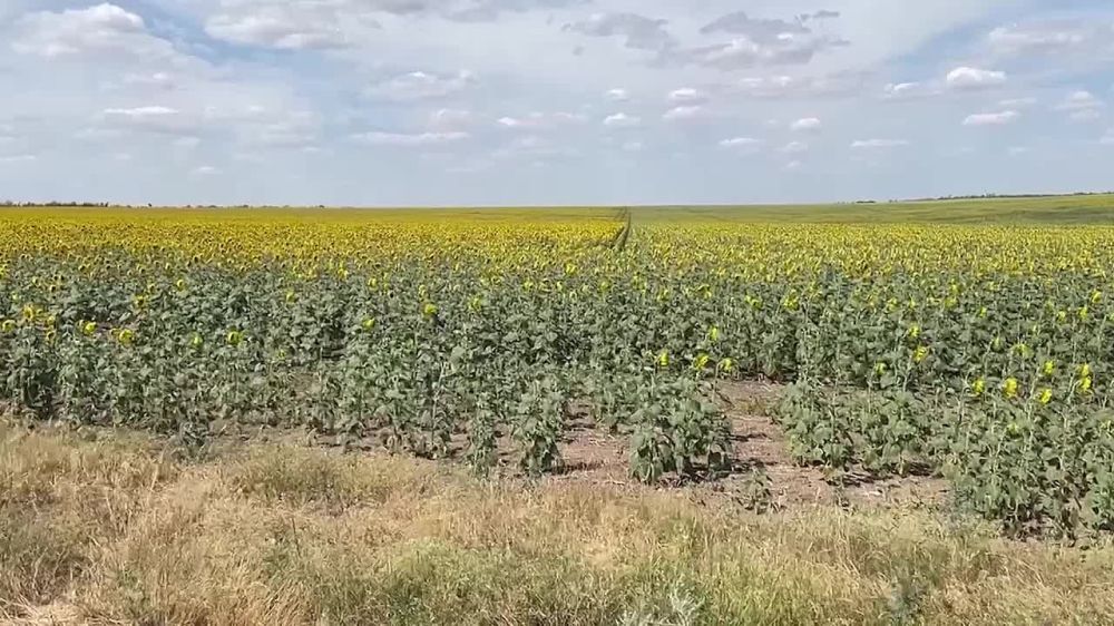 ������� ���� ���������. ������ ����� �������� ������ �������������. ��������� ������� ����������� � �����, ����������� �� ������ �����