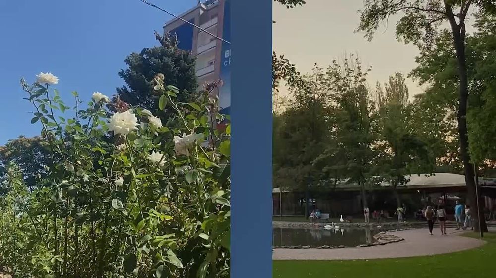 ��������, ��� ��� ��� ���������� ��������� ������ � ��������� ��������