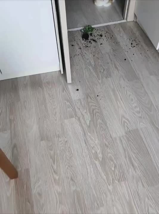 ������� ���� , ������� ������������!
