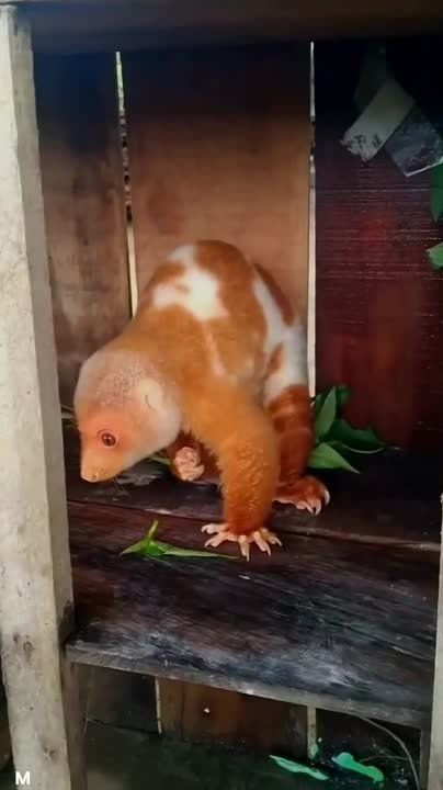 ��������� ������� ������� � ��������� � �� �������� ��������