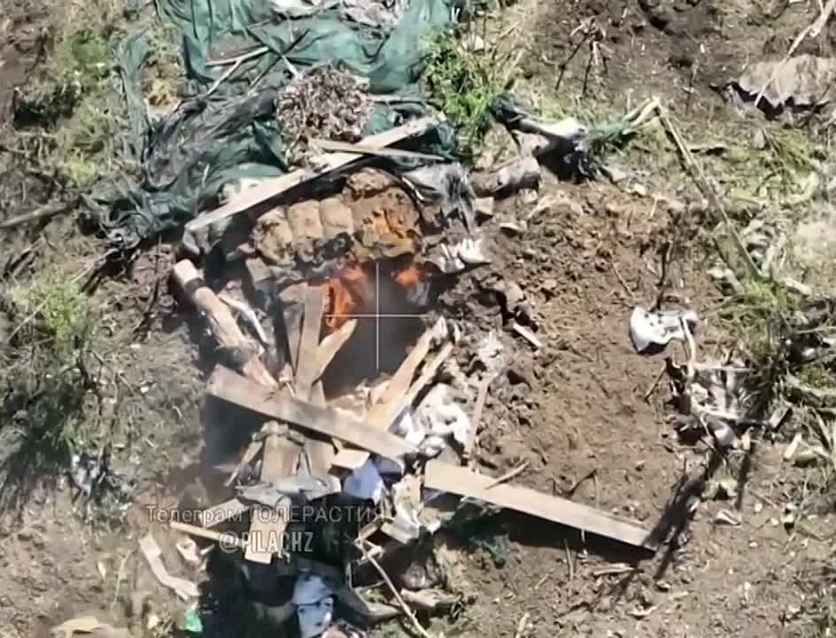 ����� ������������� FPV-��������� �� ���������� ��������� � ������� ������